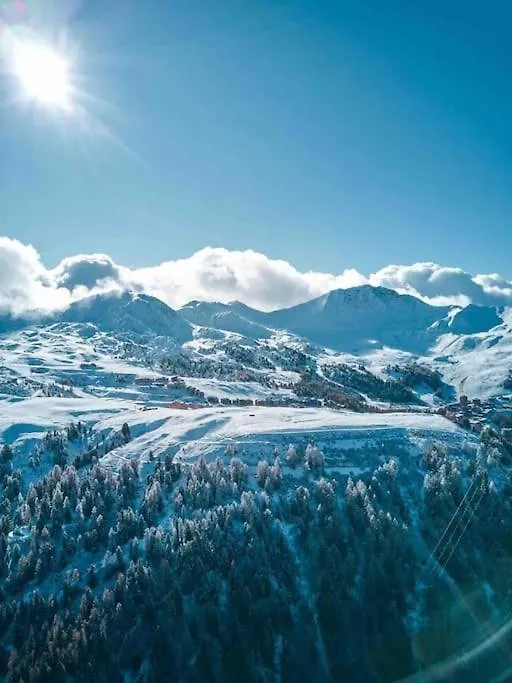 Διαμέρισμα Residence Le Doronic Duplex 8 Pers La Plagne 1800