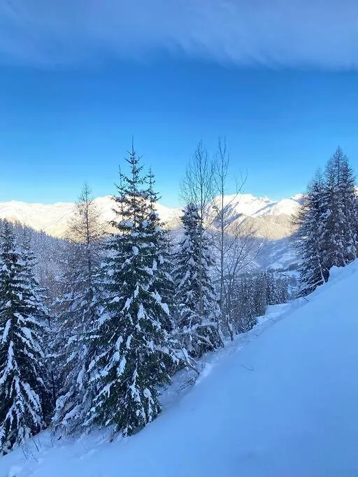 Residence Le Doronic Duplex 8 Pers La Plagne 1800 Apartment